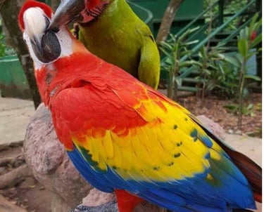 paseo corto por la cuidad