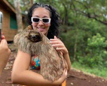 disfrura de la caricia de un oso perezoso