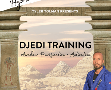 djedi jedi warrior training