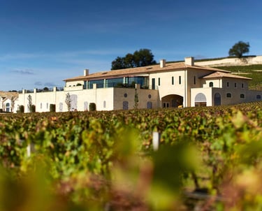 chateau pavie saint emilion