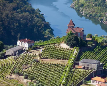 a small village with a river and a church