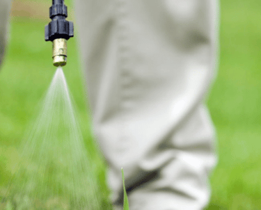 pet-waste-removal-in-kansas-city-missouri
