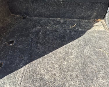 Dirty car trunk carpet covered in white pet hair and debris requiring interior detailing.