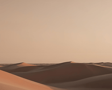A distant landscape shot of the barren desert for LVF.LVX's shad
