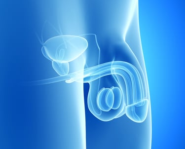 Disfunción eréctil