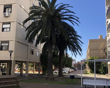 Complejo de Edificios Administrado en Ciudadela