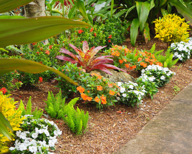 Landscape installation