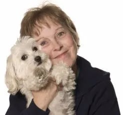 maltipoo-care-tips