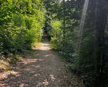 Chemin ombragé dans le parc du bois Vidal à Aix les Bains