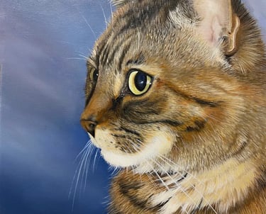 Portrait of a cat named Sardine, painted by the painter Mireille Desroches