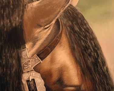 Horse portrait, commissioned by Corina Schumacher, artist Mireille Desroches