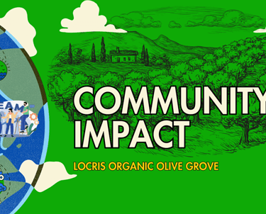commynity impact - locris organic olive grove - artistic graphic