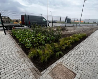 Bedrijfstuin Dinteloord