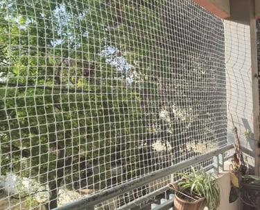 pigeon nets in bangalore