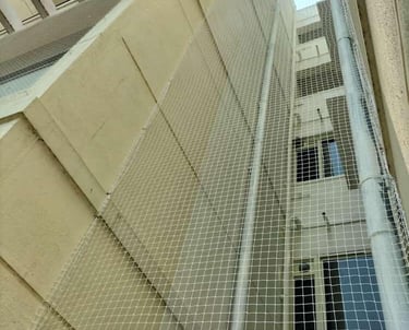 best anti pigeon nets in bangalore