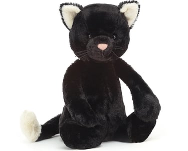 black kitten