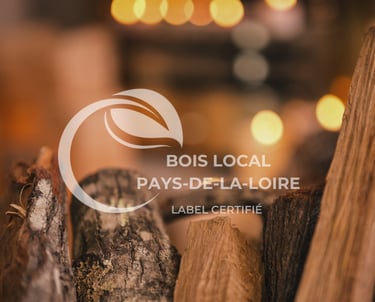 des morceaux de bois de chauffage