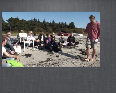 a group of people sitting around a beach