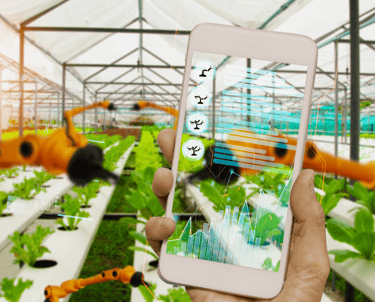 Mobile App in Green House