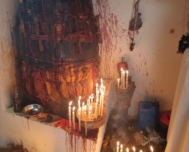 Schnelle Partnerrückführung