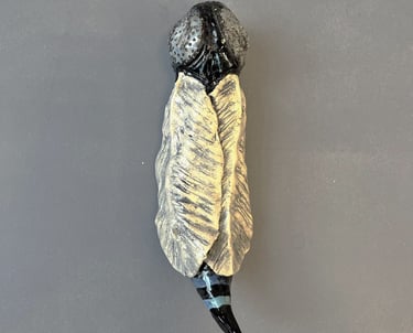 fly out of its cocoon