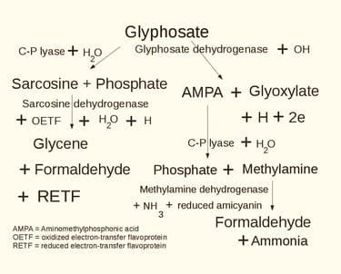 PESTICIDES GLYPHOSATE MÉTABOLITE