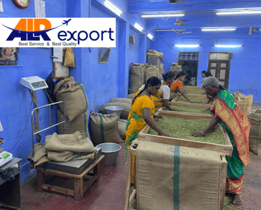 Indian cardamom batch packed for UAE food processors