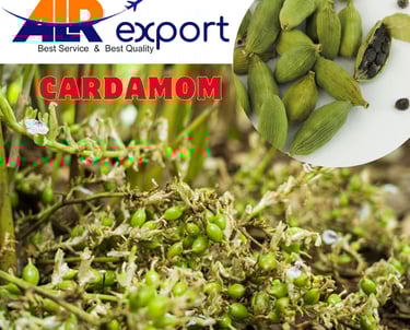 Premium green cardamom packaging for UAE spice buyers