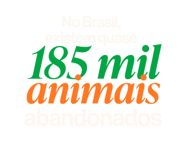 No Brasil, existem 185 mil animais abandonados