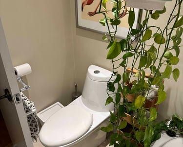 a bathroom with a toilet and a potted plant