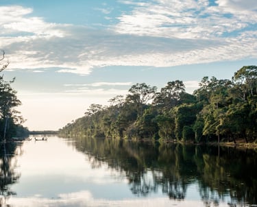 um rio com uma floresta ao fundo