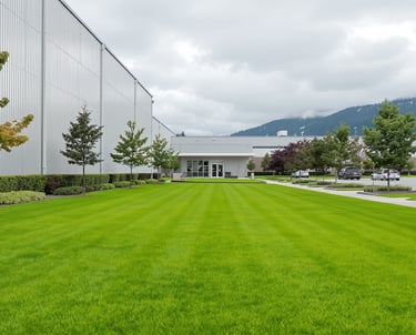 Industiral Lawn