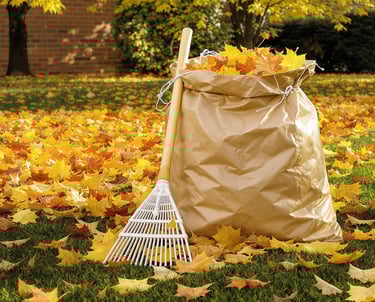 Bag of Leaves on lawn
