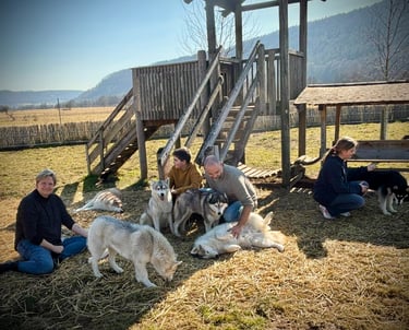 Husky-Erlebnisse, Husky-Ausfahrten, Husky-Trekkingtouren, Husky Abenteuer, Dietfurt, Bayern