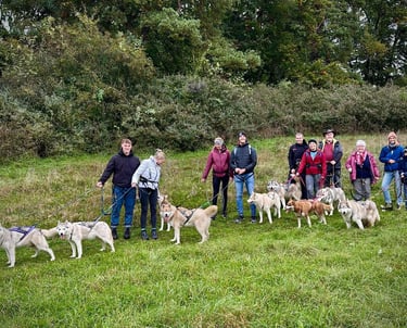 Husky-Erlebnisse, Husky-Ausfahrten, Husky-Trekkingtouren, Husky kuscheln, Husky Abenteuer, Bayern