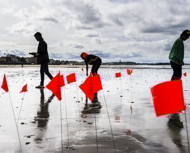 peggy viallat art identité photo patrice latron