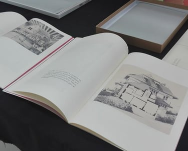 peggy viallat edition