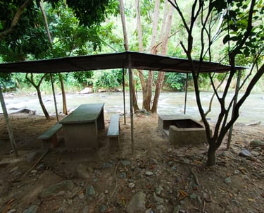 Cocina de leña