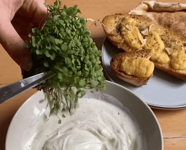 verde brota | Prontos para Colher e Comer !