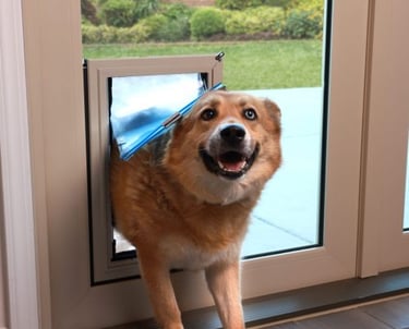 Patio Door Pet Door Custom Patio Door