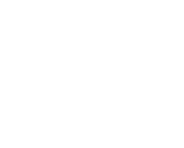 CONTENIDO DIGITAL