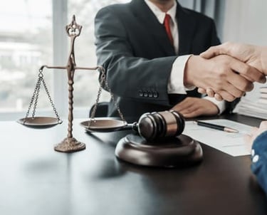 legal consultation, advice, lawyer and client
