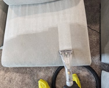 Professional upholstery cleaning technician cleaning a sofa in Olympia, WA