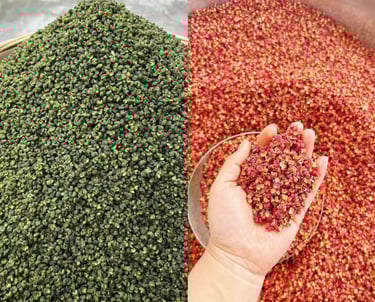 Comparison of whole green and red Sichuan peppercorns, dried authentic Chinese spices for cooking.