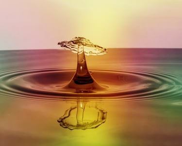 Janvriksha - Impact assessment services evaluating environmental, social, and economic outcomes