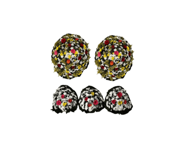 Conjunto de Flores B Colorida consolare