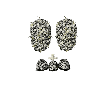 Conjunto de Flores A Luxo I consolare