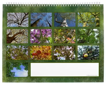 2-teiliger Kalender mit 12 grünen Fotos von Baumwipfeln in diversen Jahreszeiten