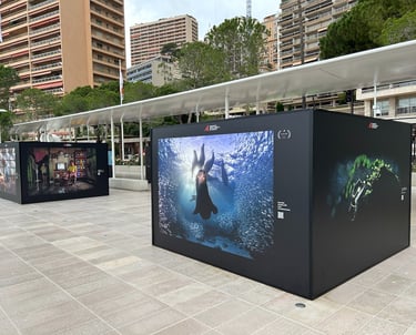 PA2F environmental photographer of the year 2023 exhibition at Lavoratto beach in Monaco.
