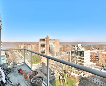 Actual view from a Riverdale co-op